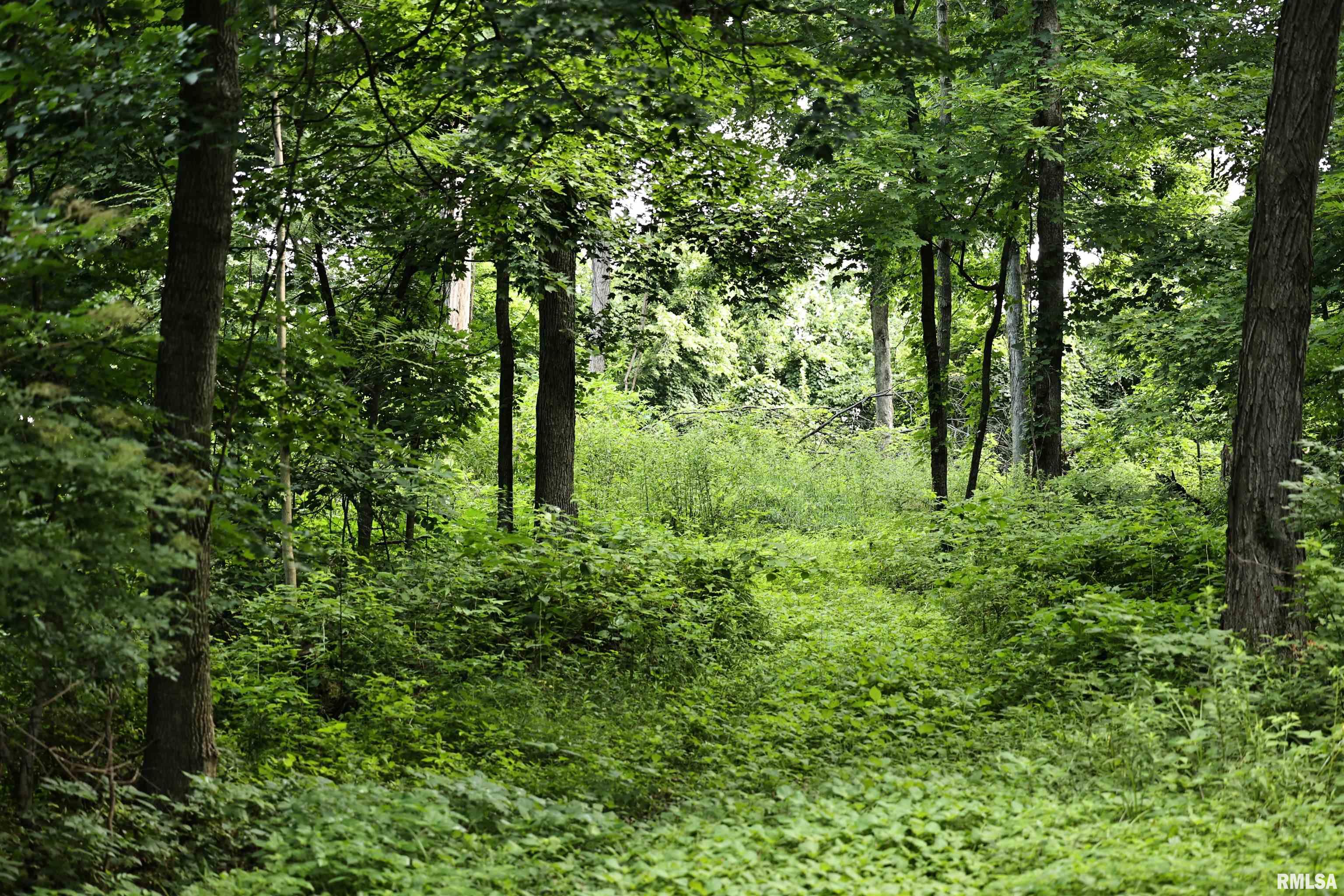 0 205th Street Kinderhook, IL 62345 - Photo 10 of 49