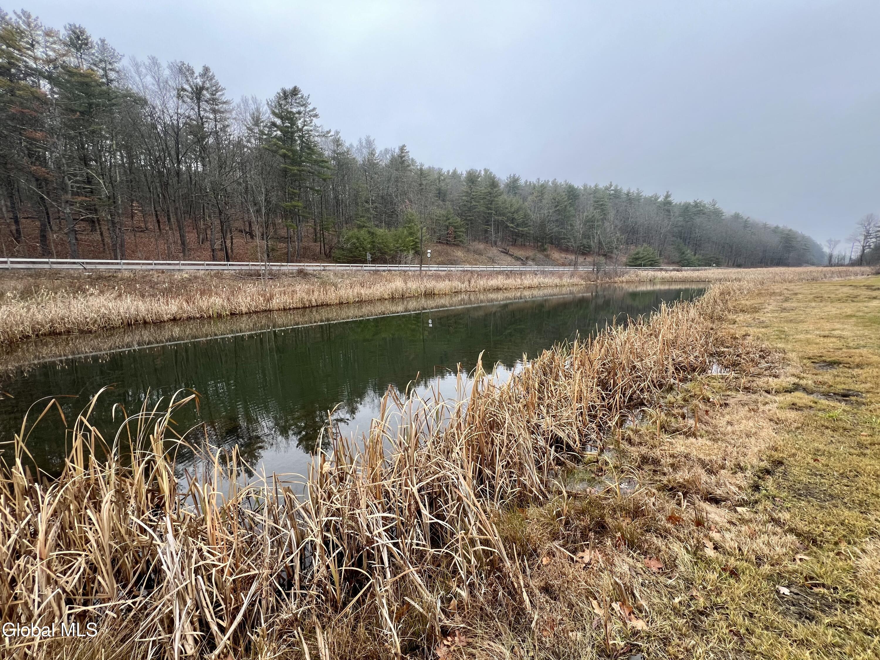 524 Copeland Hill Road Coeymans, NY 12046 - Photo 11 of 12 IMG_0243