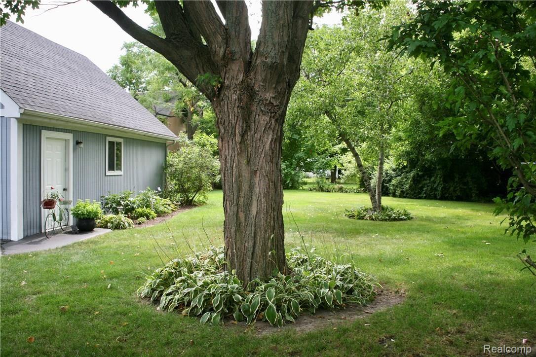 179 Pleasant Street Romeo, MI 48065 - Photo 27 of 29 fullsizeoutput_1b0.jpeg