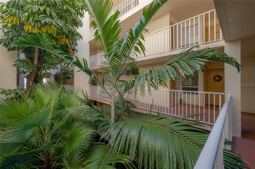 16308 Gulf Boulevard, Unit 209 Redington Beach, FL 33708 - Photo 36 of 54 a view of a backyard with plants and wooden fence