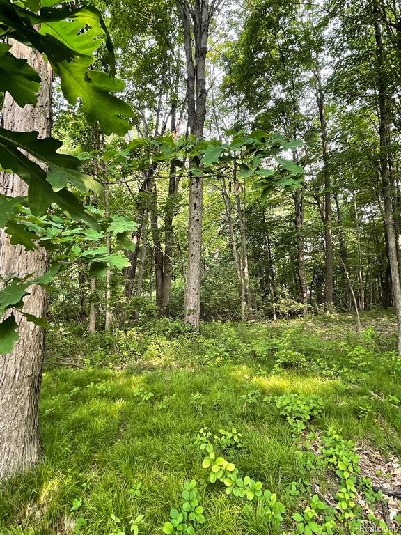 0 Mill Road Dryden, MI 48428 - Photo 11 of 18