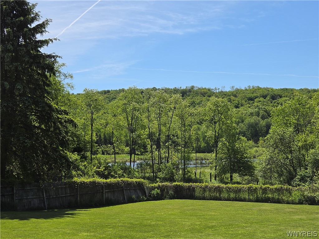 1273 Bush Hill Road Farmersville, NY 14737 - Photo 5 of 49