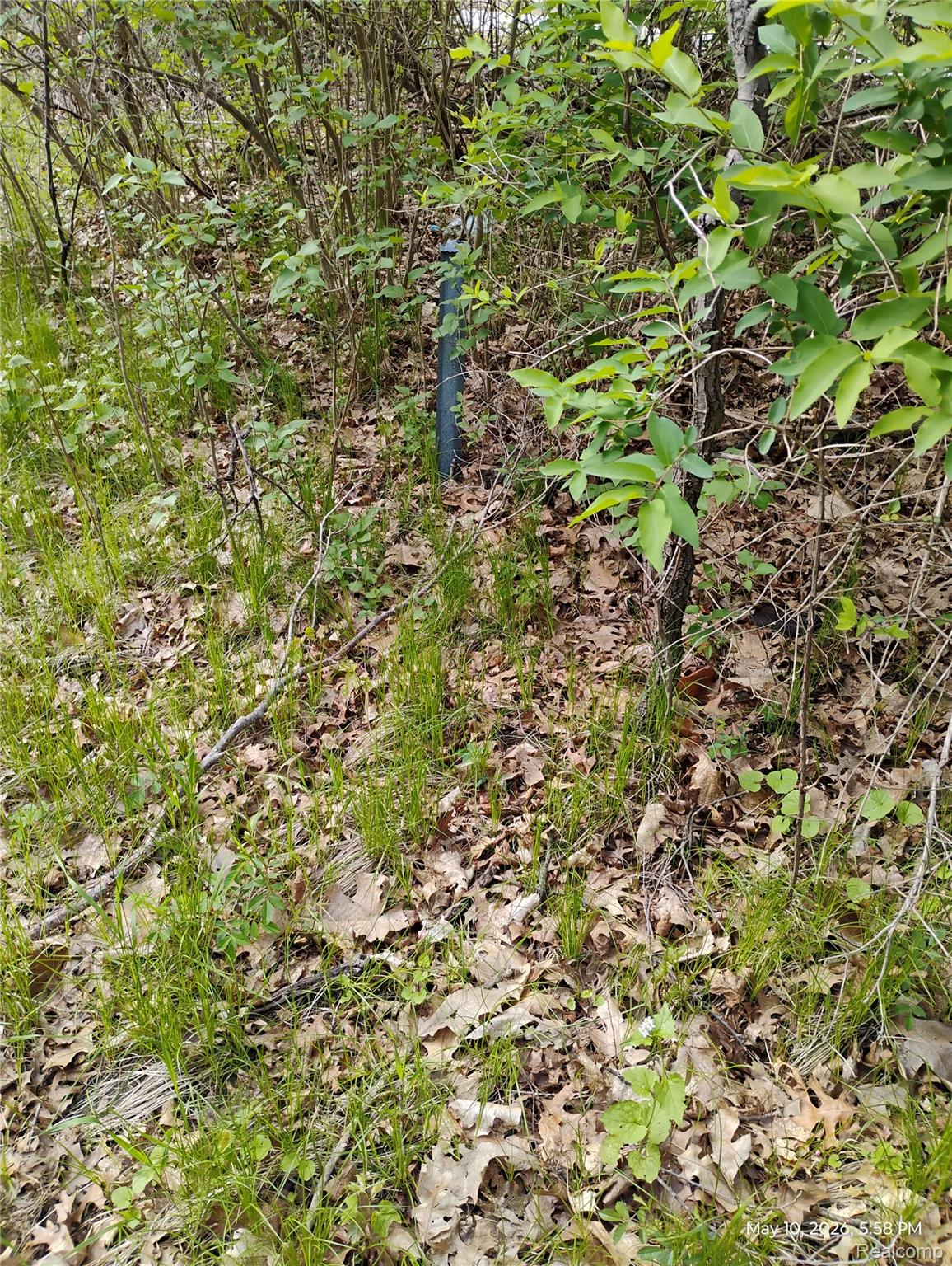 -middle Parcel C Middle Parcel C Middle Road Highland, MI 48357 - Photo 8 of 9 Parcel C (2).jpg