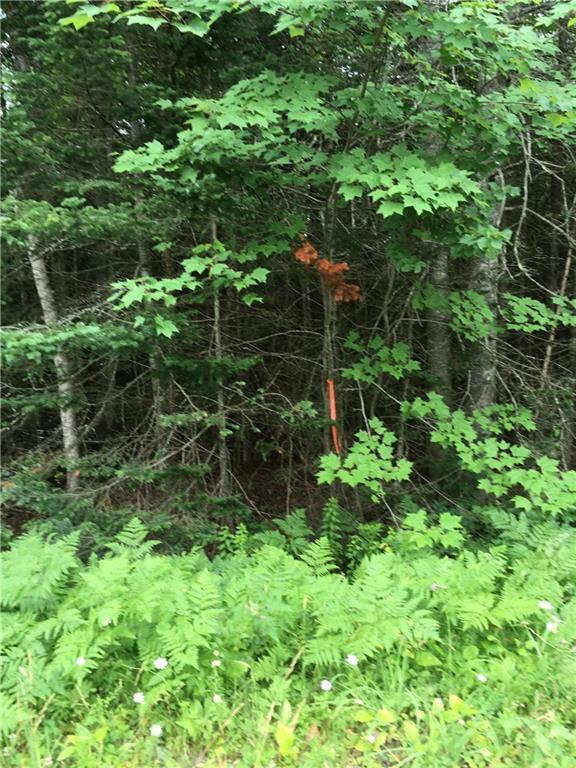 0 Kenney Road Knox, ME 04986 - Photo 2 of 3 Photo
