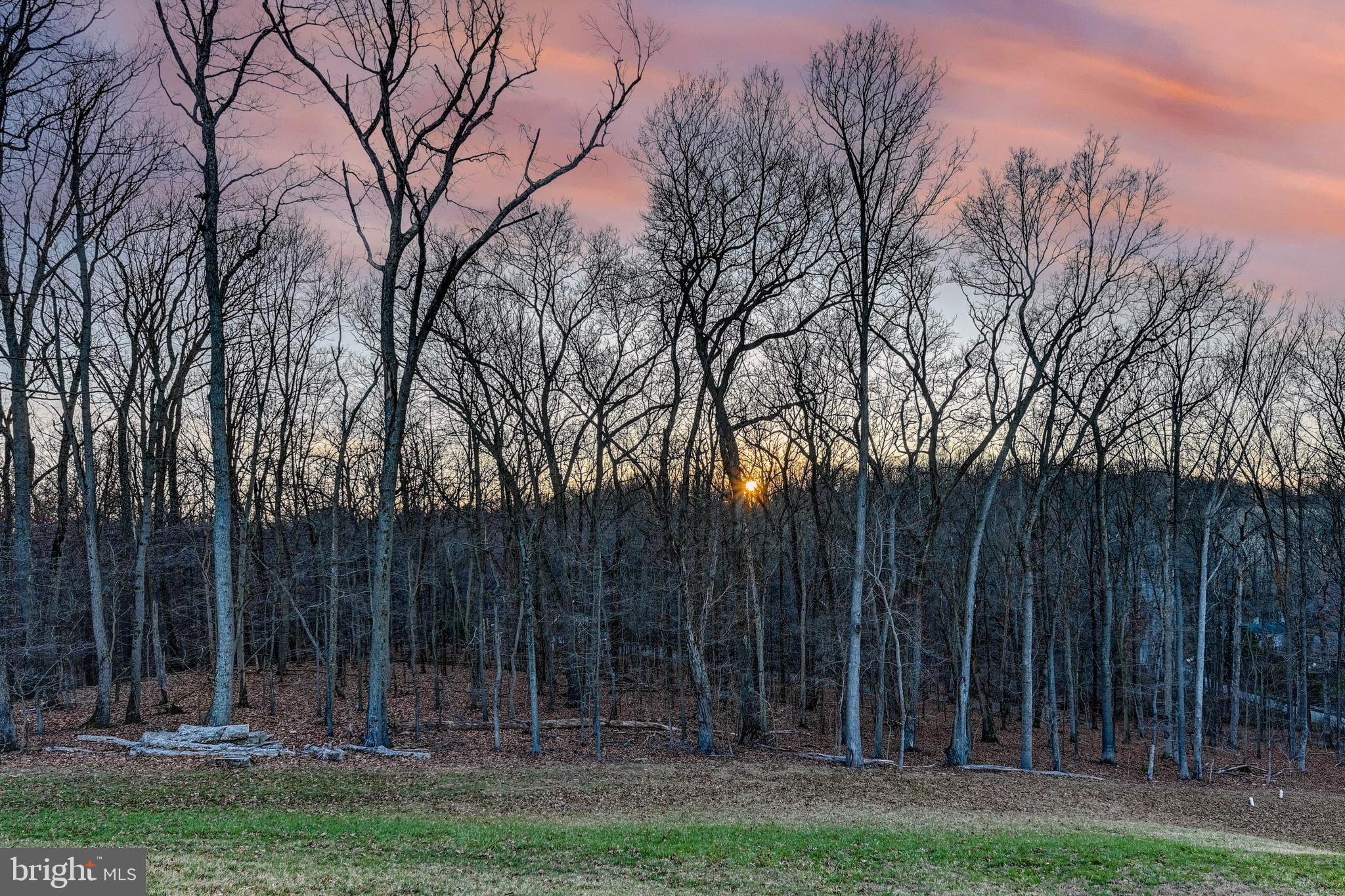 2613 Cotter Road Manchester, MD 21102 - Photo 25 of 26 a view of backyard with green space
