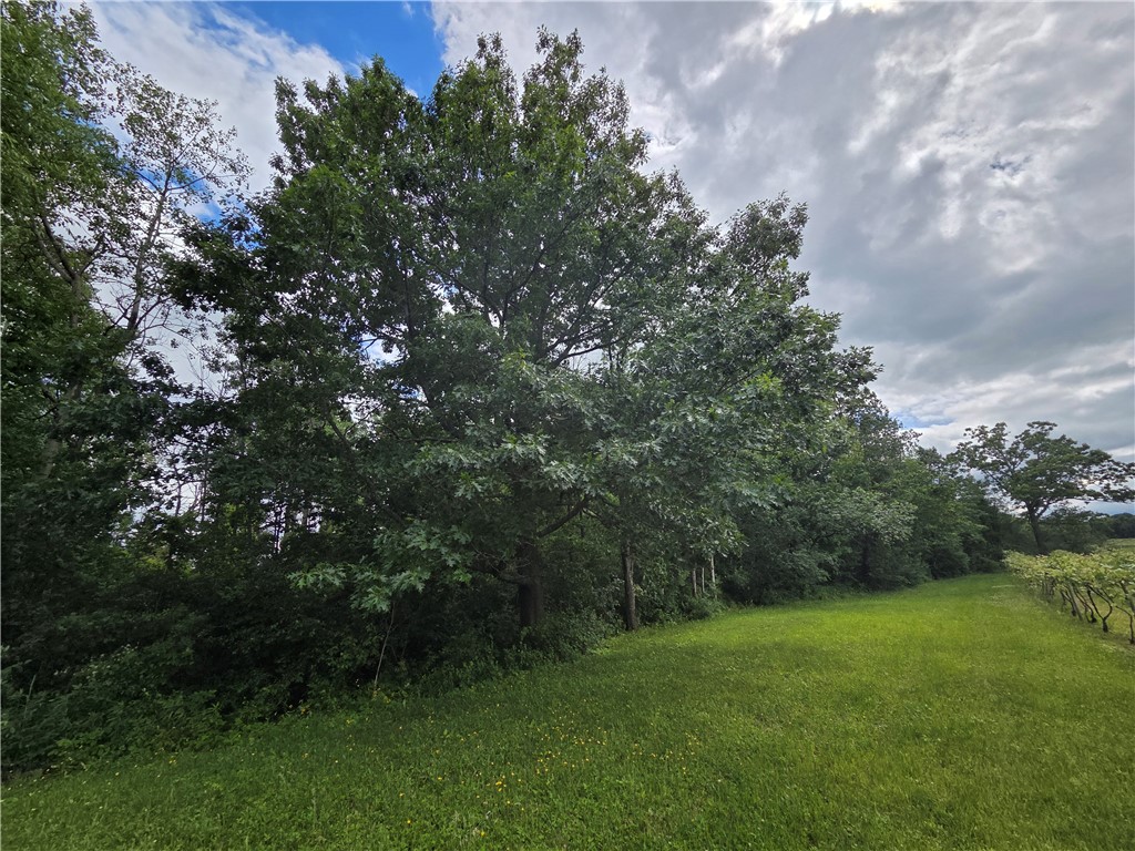 Sutton Road Penn Yan, NY 14527 - Photo 25 of 46 Gallery Image 25