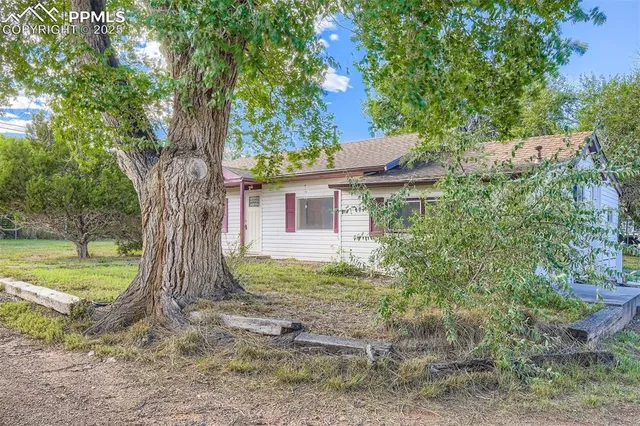 a view of a house with a tree in the yard