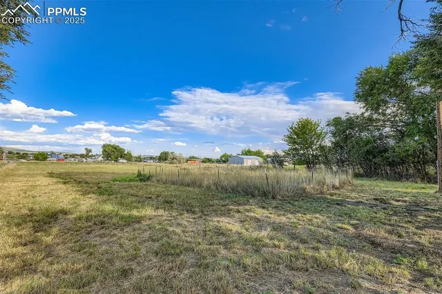 a view of backyard of house with green space