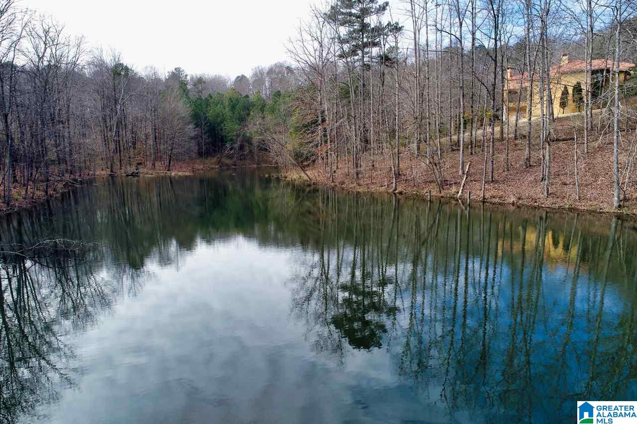 310 Quail Run Drive Cullman, AL 35057 - Photo 41 of 50
