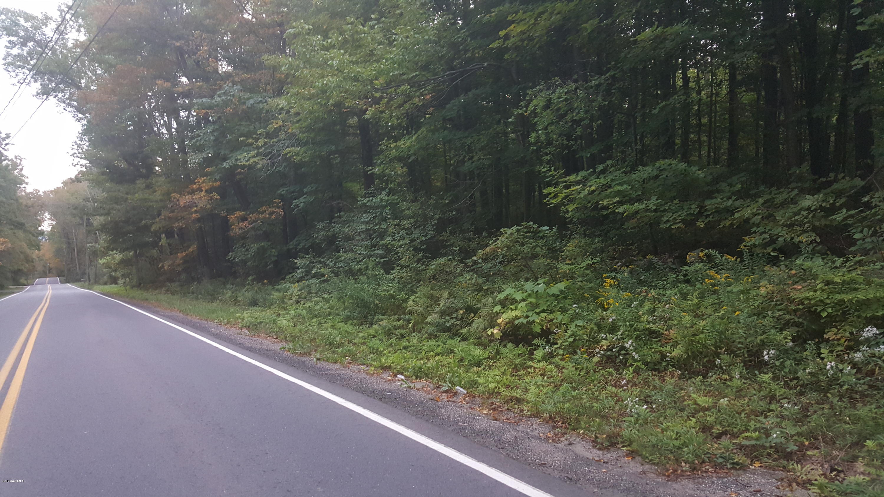 0 Robinson Road Hinsdale, MA 01235 - Photo 1 of 1 Robinson Road