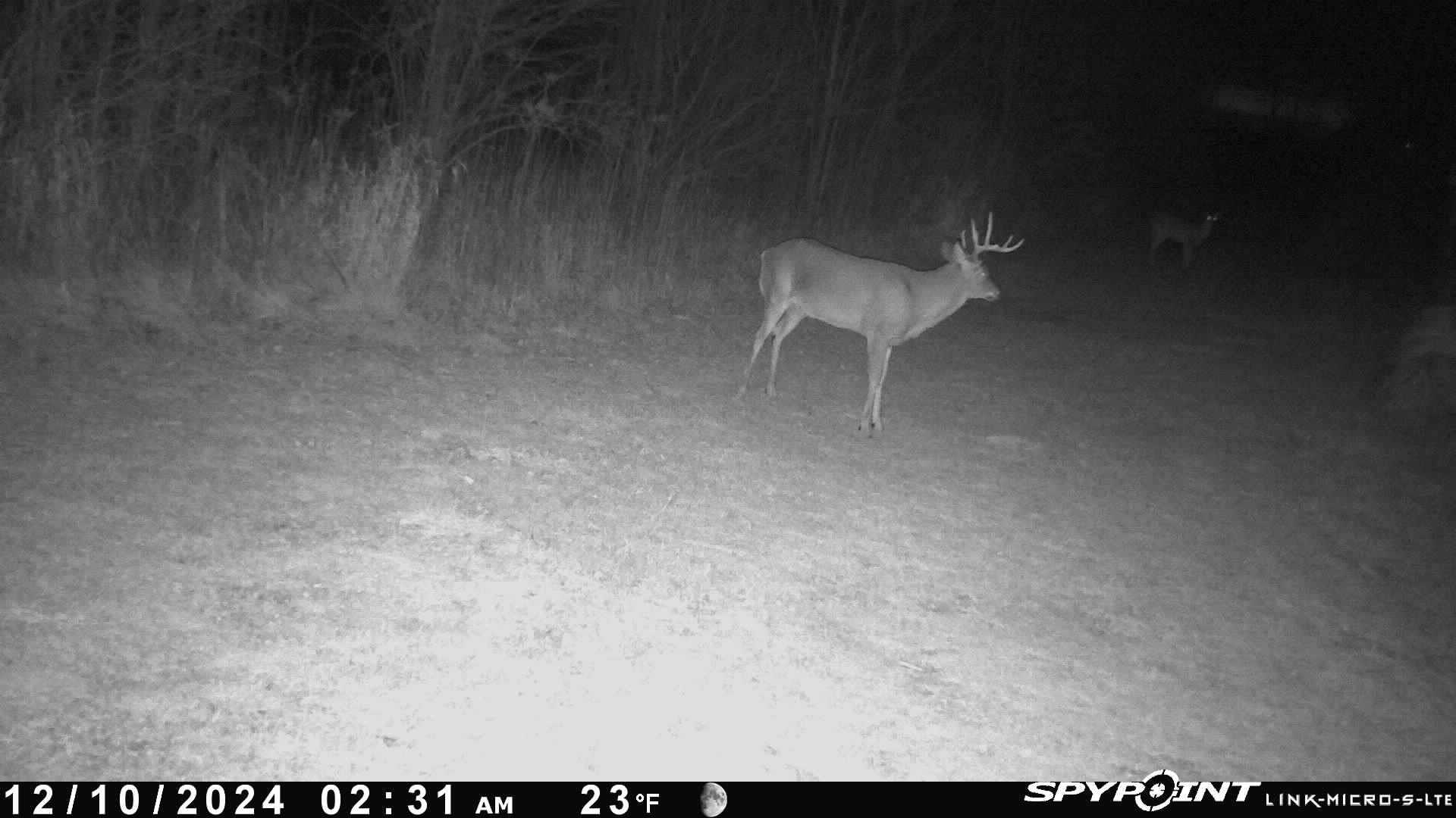 0 Burr Oak Road Capron, IL 61012 - Photo 79 of 87 Gallery Image 79