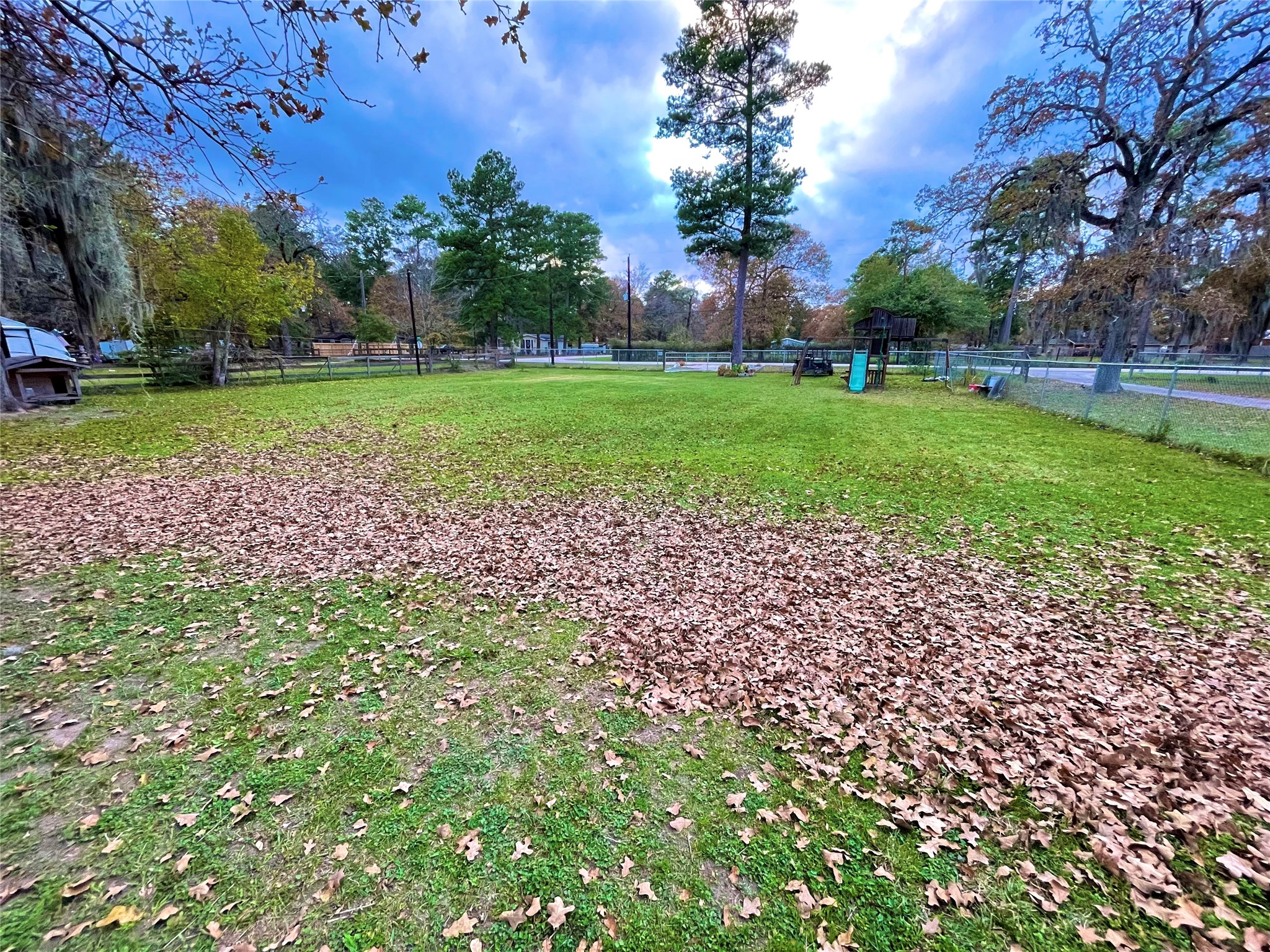 23719 Saxon Way Hockley, TX 77447 - Photo 7 of 22 a garden with trees in the background
