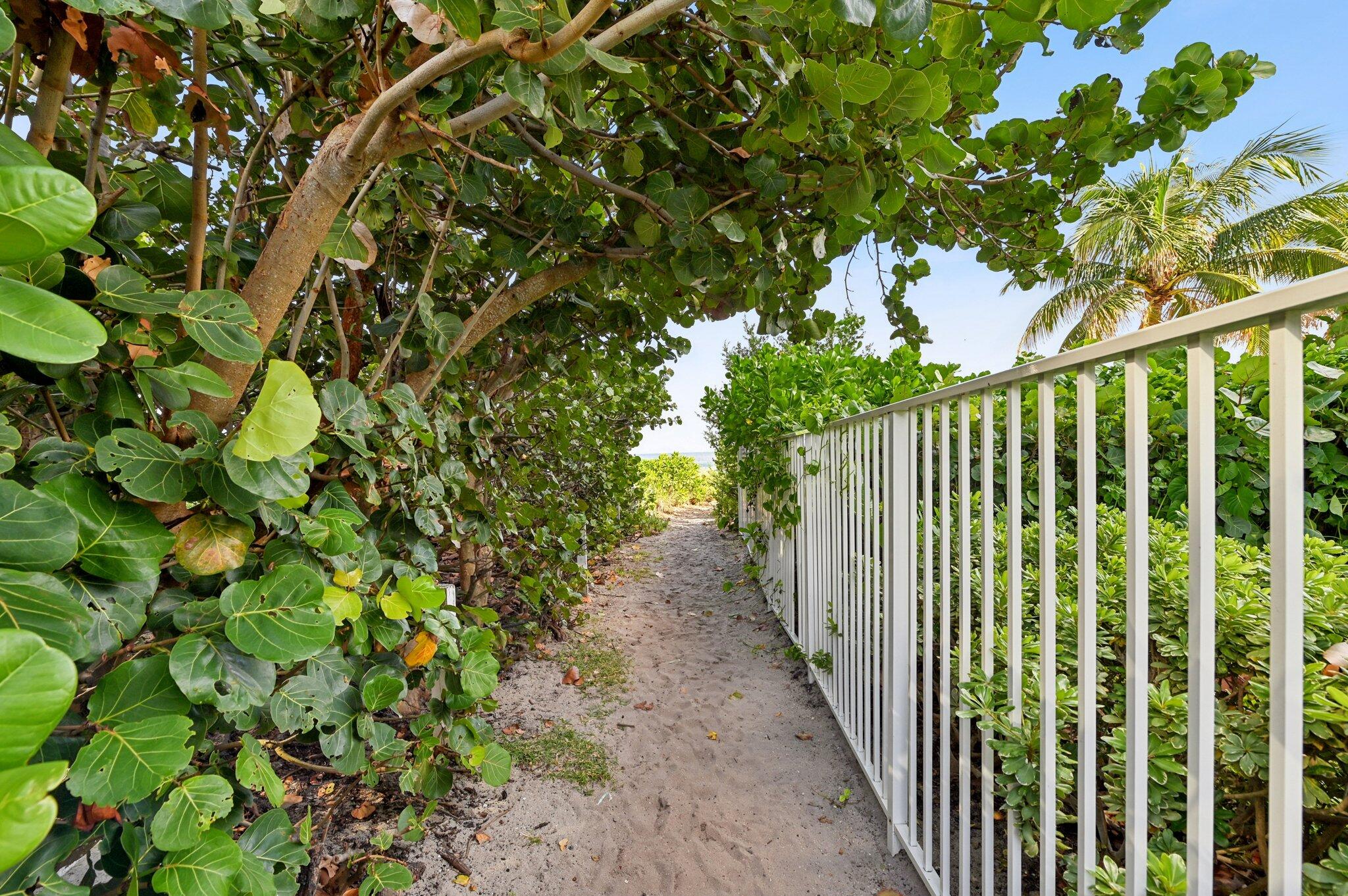 1461 South Ocean Boulevard, Unit 204 Lauderdale-by-the-Sea, FL 33062 - Photo 3 of 84 39-web-or-mls-S Ocean Blvd-1111-919