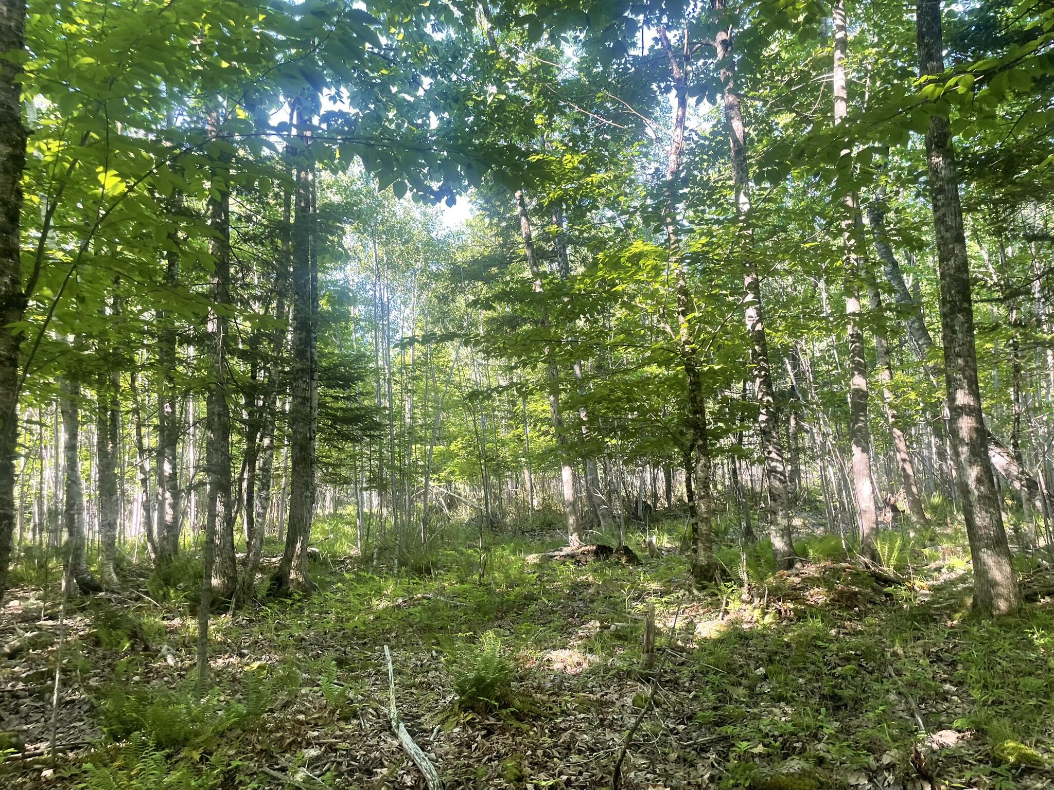 0 Macomber Road Readfield, ME 04355 - Photo 51 of 61 IMG_5686