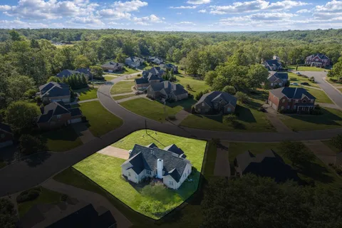 an aerial view of green landscape with trees houses and mountain view