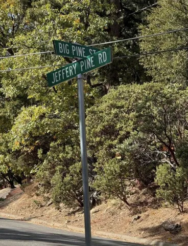 a view of a yard with plants and wooden fence