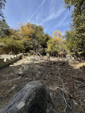 a view of outdoor space and trees