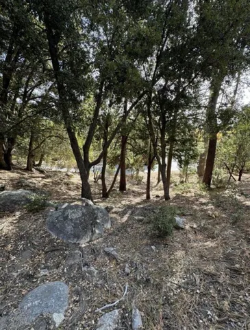 a view of outdoor space with trees