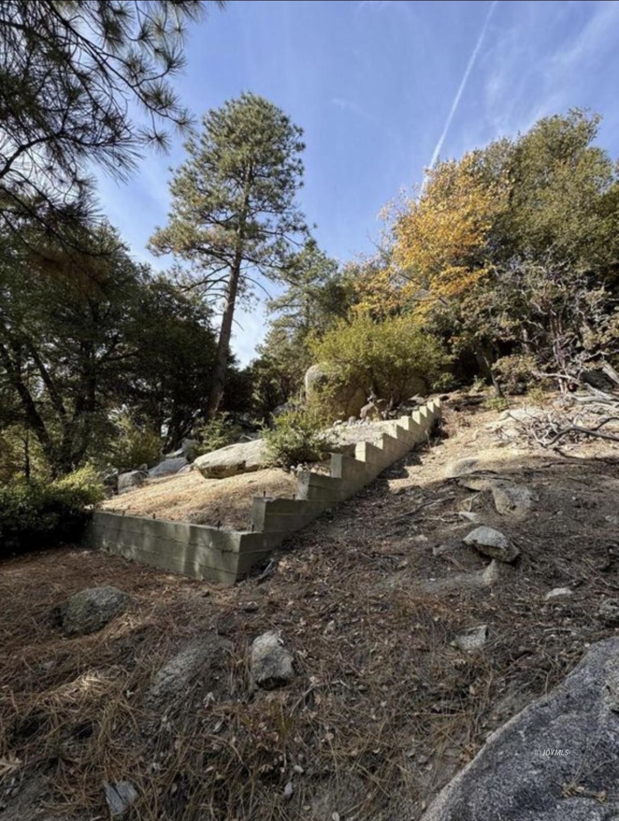 53642 Jeffery Pine Road Idyllwild, CA 92549 - Photo 10 of 12 a view of a backyard of the house