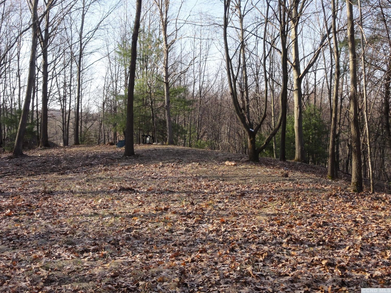 2-3 Round Lake Road Kinderhook, NY 12184 - Photo 6 of 10 Photo 6