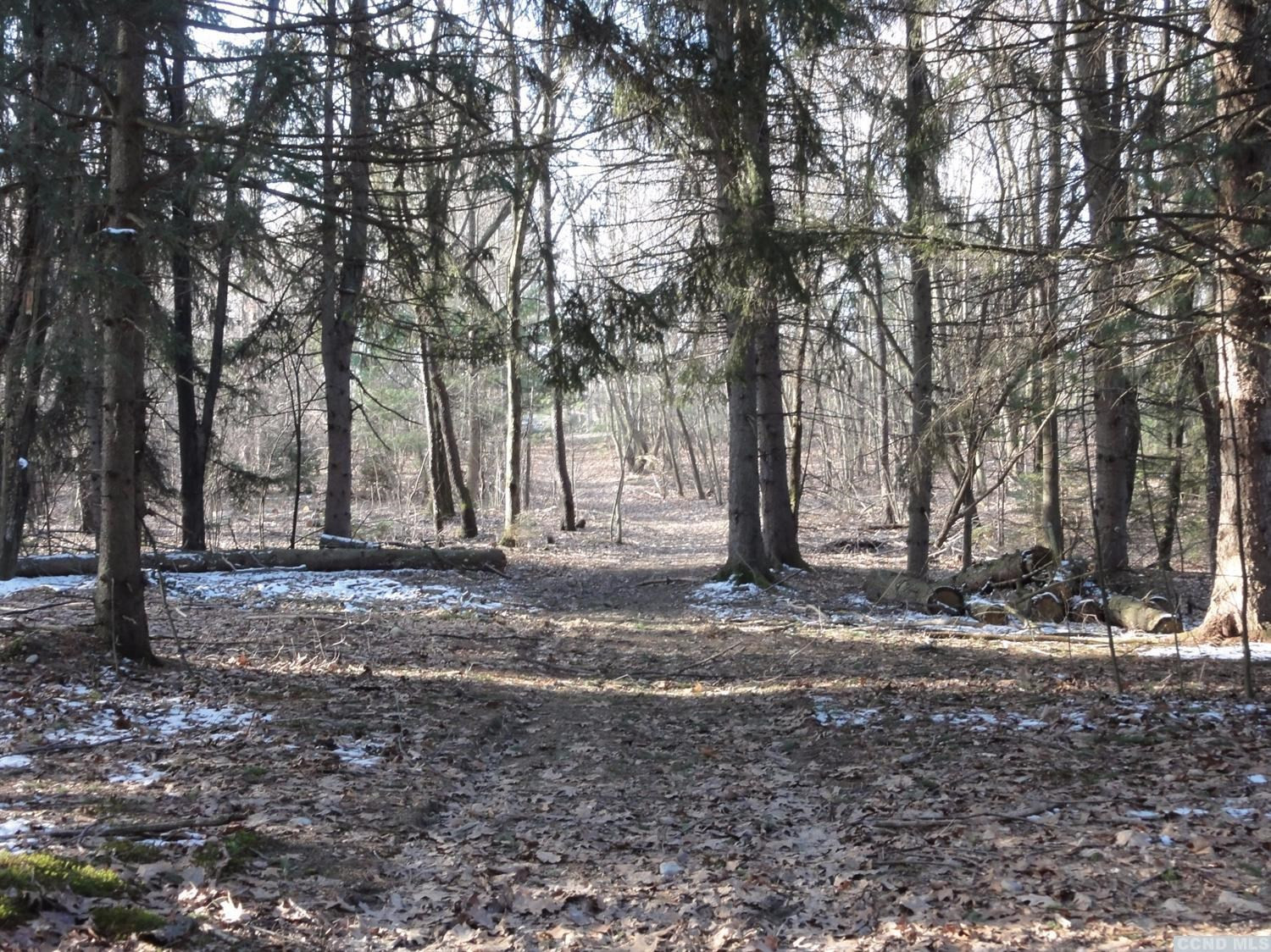 2-3 Round Lake Road Kinderhook, NY 12184 - Photo 7 of 10 Photo 7