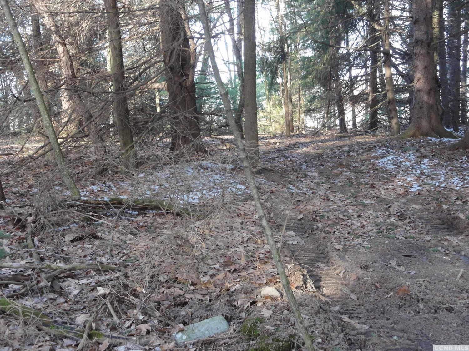 2-3 Round Lake Road Kinderhook, NY 12184 - Photo 8 of 10 Photo 8