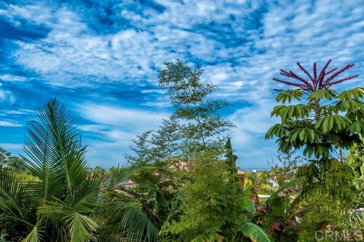 518 North Rios Avenue Solana Beach, CA 92075 - Photo 2 of 2