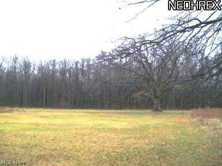 523 Housel Craft Road Cortland, OH 44410 - Photo 17 of 18 Gallery Image 17