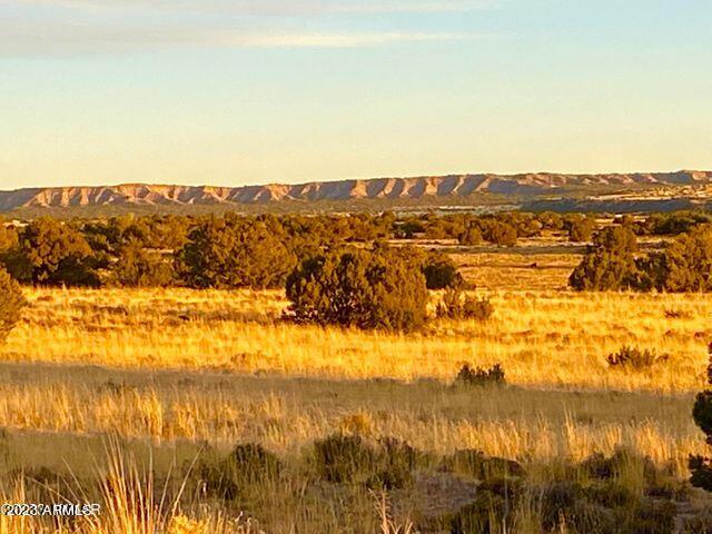 255 Acres Sanders, AZ 86512 - Photo 1 of 27 20230103212526081783000000-o