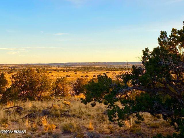 255 Acres Sanders, AZ 86512 - Photo 11 of 27 20230103212509765960000000-o