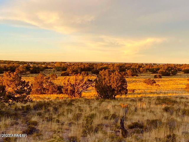255 Acres Sanders, AZ 86512 - Photo 12 of 27 20230103212440298914000000-o