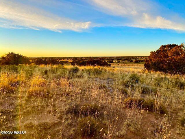 255 Acres Sanders, AZ 86512 - Photo 13 of 27 20230103212414233851000000-o