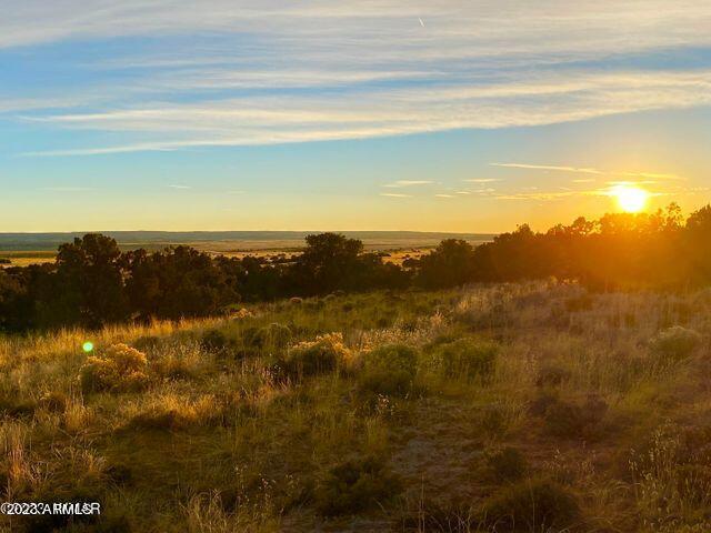 255 Acres Sanders, AZ 86512 - Photo 14 of 27 20230103212616565895000000-o