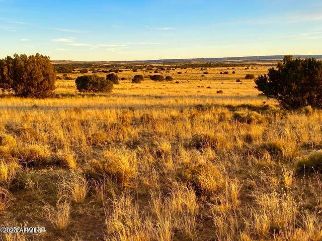 255 Acres Sanders, AZ 86512 - Photo 15 of 27 20230103212745377984000000-o