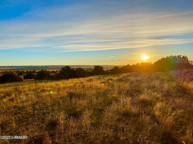 255 Acres Sanders, AZ 86512 - Photo 16 of 27 20230103212910066394000000-o