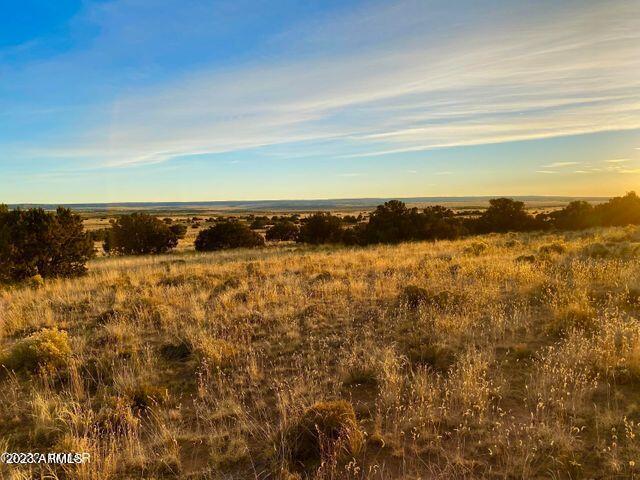 255 Acres Sanders, AZ 86512 - Photo 17 of 27 20230103212919693573000000-o
