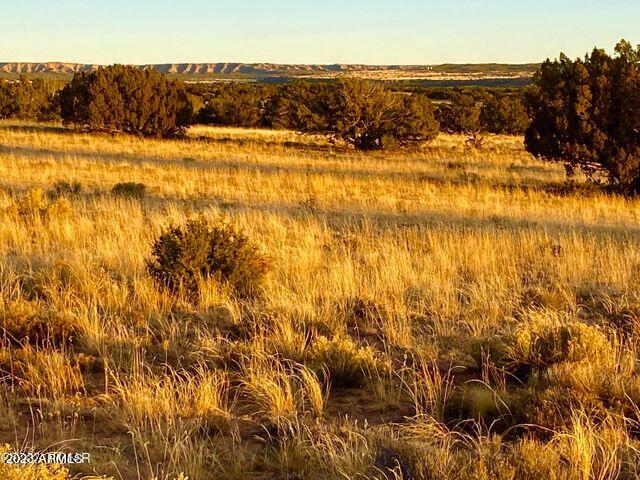 255 Acres Sanders, AZ 86512 - Photo 18 of 27 20230103213020310796000000-o