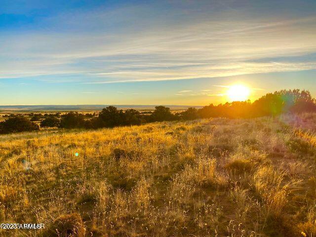 255 Acres Sanders, AZ 86512 - Photo 20 of 27 20230103213141683154000000-o