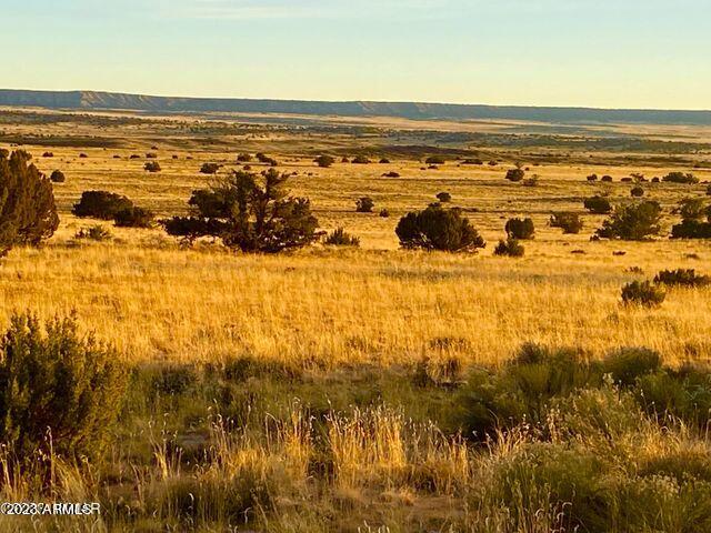 255 Acres Sanders, AZ 86512 - Photo 2 of 27 20230103213055160612000000-o