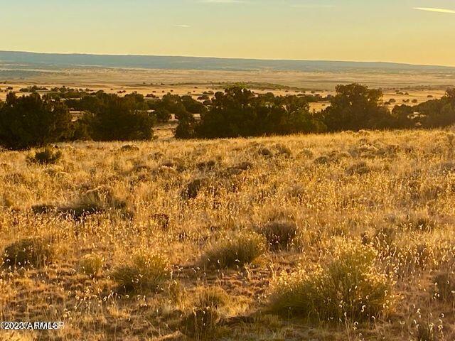 255 Acres Sanders, AZ 86512 - Photo 21 of 27 20230103213152974321000000-o