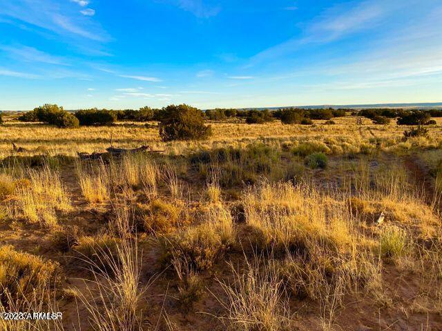 255 Acres Sanders, AZ 86512 - Photo 23 of 27 20230103213309492983000000-o