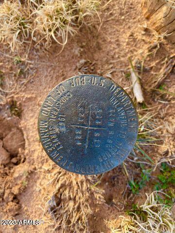 255 Acres Sanders, AZ 86512 - Photo 24 of 27 20230103213335394672000000-o