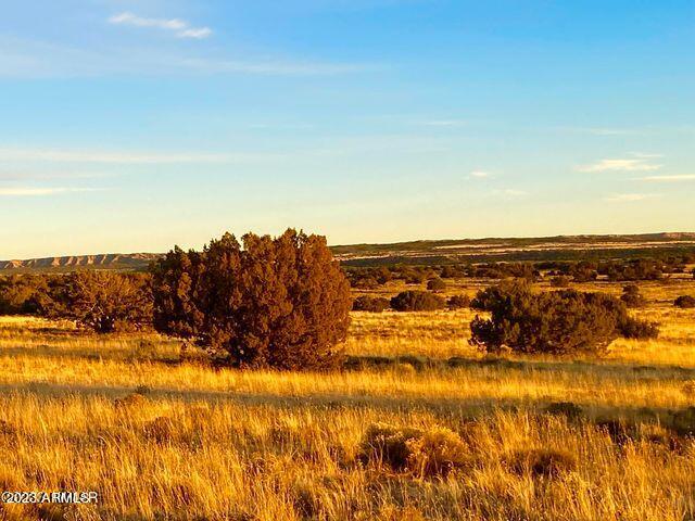 255 Acres Sanders, AZ 86512 - Photo 3 of 27 20230103212359661704000000-o