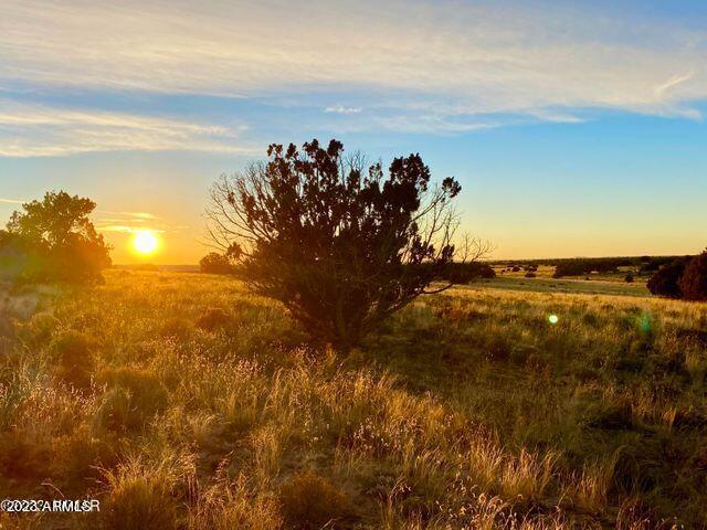 255 Acres Sanders, AZ 86512 - Photo 4 of 27 20230103211439804248000000-o