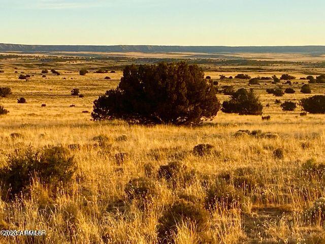 255 Acres Sanders, AZ 86512 - Photo 5 of 27 20230103213129829916000000-o