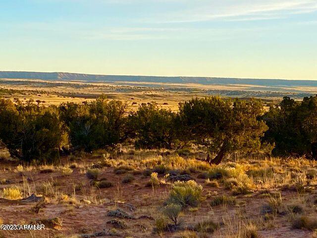 255 Acres Sanders, AZ 86512 - Photo 7 of 27 20230103213039706510000000-o