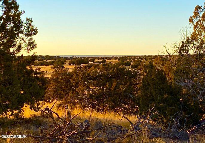 255 Acres Sanders, AZ 86512 - Photo 8 of 27 20230103212824543315000000-o