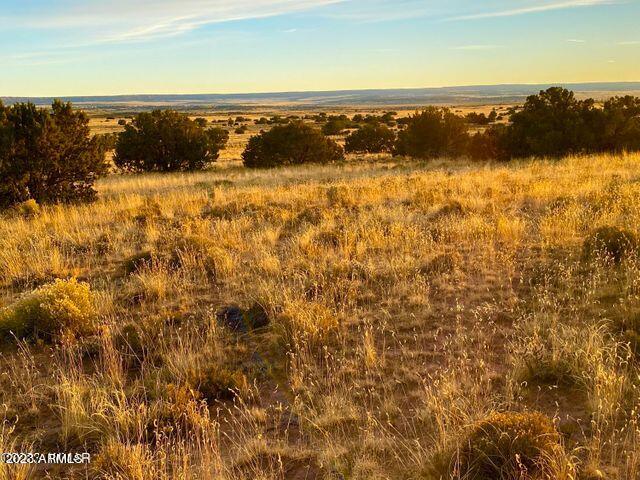 255 Acres Sanders, AZ 86512 - Photo 9 of 27 20230103212806460927000000-o