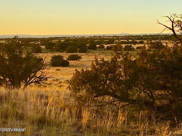 255 Acres Sanders, AZ 86512 - Photo 10 of 27 20230103212451273927000000-o