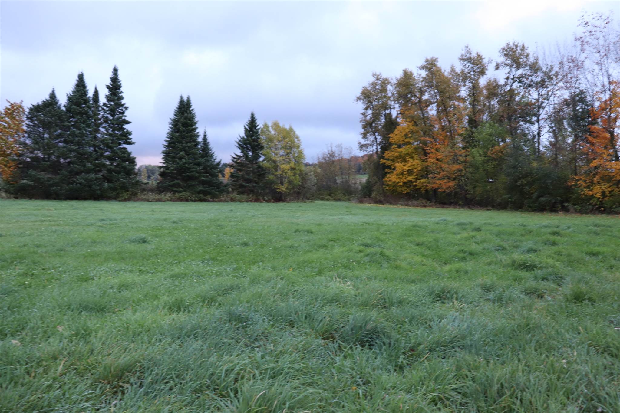 0 Roaring Brook Road Barton, VT 05875 - Photo 6 of 9